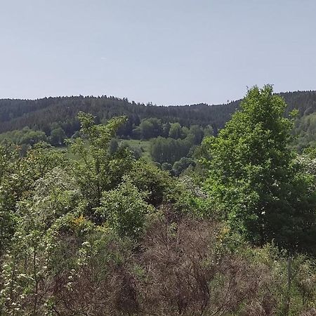 Sessles Waldhaeusschen Dietzhausen Suhl Zewnętrze zdjęcie
