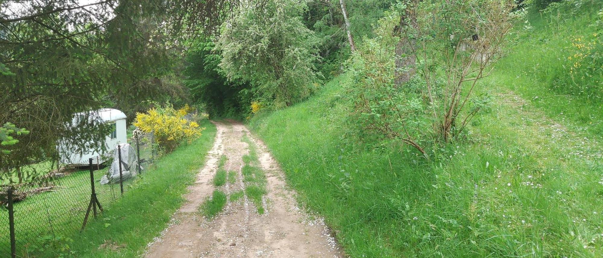 Sessles Waldhaeusschen Dietzhausen Suhl Zewnętrze zdjęcie